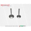 Altai Carrier 110 Pro Supap Seti