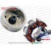 Asya Quswa QS100, QS125, QS150 Alternatör Komple