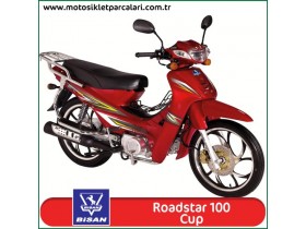 Bisan Roadstar Cup 100