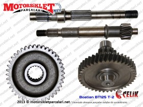 Çelik Boatian BT 125 T-2 Şanzıman Grubu 