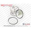 Çelik Tiger 150 Maxi Scooter Piston Sekman Takımı