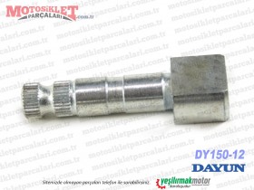 Dayun DY150-12 Chopper Arka Fren Kamı