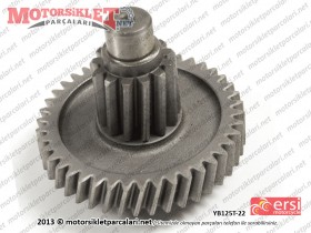 Ersi Motor YB125T-22 Şanzıman Aktarma Dişlisi - 42 Diş