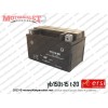 Ersi Motor YB150T-15 T-20 Akü 12V 7A