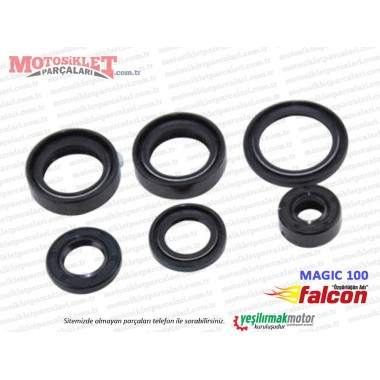 Falcon Magic 100 Cup Şanzıman Keçe Takımı