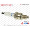 Hsun (Hisun) HS150 T-2 Buji