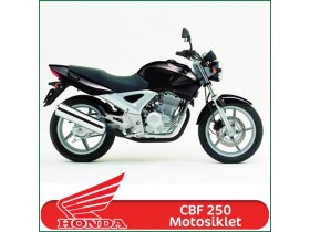 Honda CBF 250, Twister Motosiklet