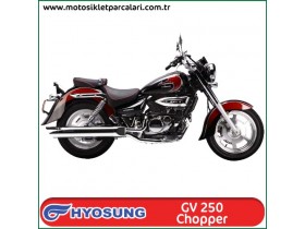 Hyosung GV250 Parçaları