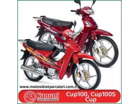 Kanuni Cup 100, Cup 100S