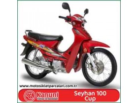 Kanuni Seyhan 100 Cup