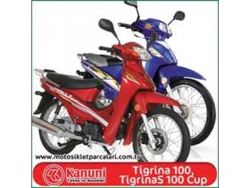 Kanuni Tigrina 100, TigrinaS 100