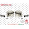 Kanuni Seyhan 250C Piston Sekman Takımı (Çift) STD