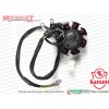 Kanuni Seyhan 125 C Stator, Sargı