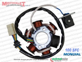 Mondial 100 SFC Basic X, Snappy X Cub Statör, Sargı