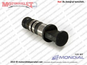 Mondial 125 MT Arka Fren Kamı