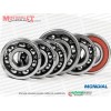 Mondial 125, 150 RR Şanzıman Rulman Takımı