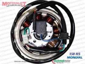 Mondial 150 HS Alternatör Komple