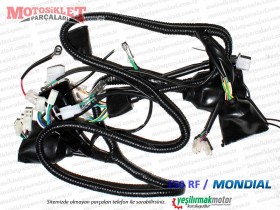 Mondial 150 RF Elektrik Tesisatı, Ana Kablo