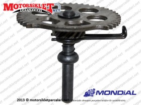 Mondial 151 RS Avare Dişli Komple