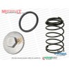 Mondial 50 TT Scooter Motor Yağ Boşaltma Tapası ve Yayı Komple