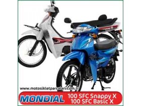 Mondial 100 SFC Basic X, Snappy X Cub