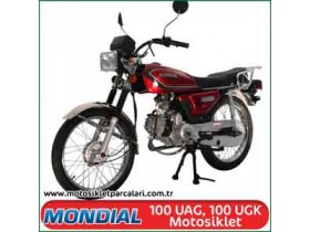 Mondial 100 UAG, 100 UGK (2008)