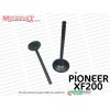 Pioneer XF200 Chopper Supap Takımı