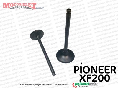 Pioneer XF200 Chopper Supap Takımı