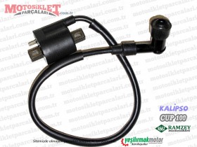 Ramzey RMZ C100 Cup Ateşleme Bobini ve Buji Başlığı