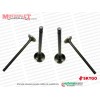Skygo SG 250-4 Chopper Supap Takımı (4 Adet)